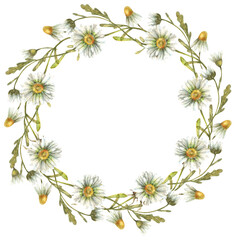 Watercolor floral wreath with cute daisies, buds, field herbs.