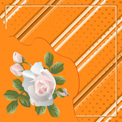 Vector geometric pattern, diagonal stripe with a of a rose on a orange background, for fabric design, tile, scarf, hijab.