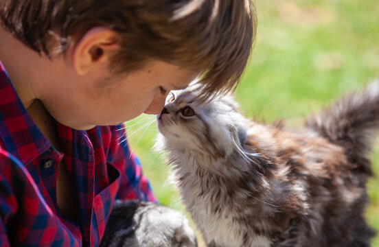portrait of a cat in the arms of a guy