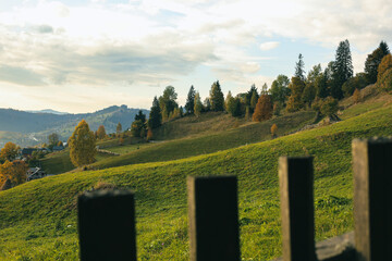 Landscape picturesque photo of green meadow with coniferous trees, handmade wooden fence on the foreground, mountains on the background