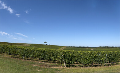 Sur les chemins de grandes randonn&eacute;es en France et en Europe.