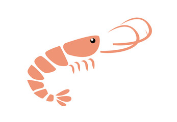 Shrimp vector illustration on white