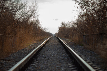 Fototapeta premium railway in the woods