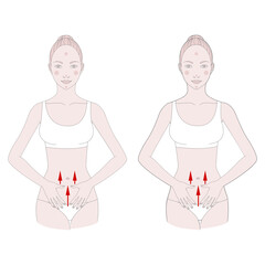 Half-figure of a girl. Self-massage of fatty deposits in the abdomen, illustration.