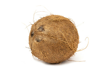 The fresh young mini coconut