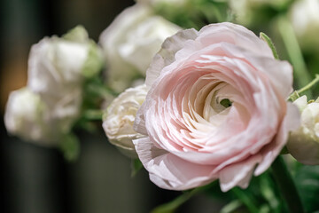 Close-up of white roses on a blurred background.
