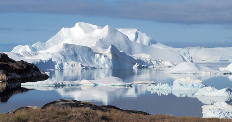 Icebergs in harbor 