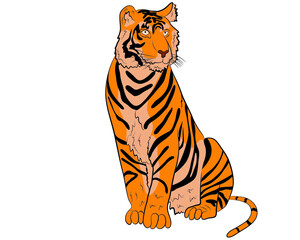 Sitting tiger in isolate on a white background. Year of the tiger.Vector illustration.
