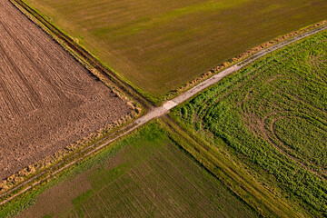Luftaufnahme zweier Feldwege die inmitten von Feldern im Winter markante Linien eine Kreuzung bilden - obrazy, fototapety, plakaty