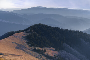 Obraz premium mountain peak covered with coniferous forest in cold light
