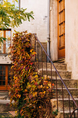 Autumn colors staircase