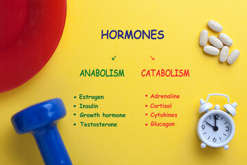 Hormones Anabolism Catabolism