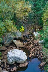 rzeka kamienie skały drzewa rośliny  © Piotr