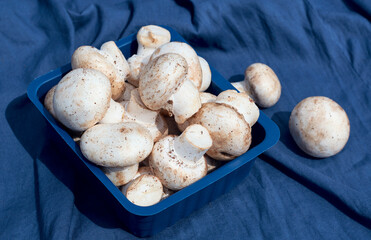 Flat lay view of white button mushrooms (Agaricus bisporus) on blue drapery background.