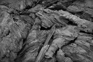 A fragment of a old wooden pieces