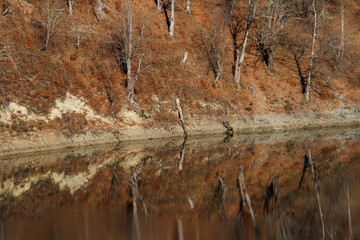 Autumn colors