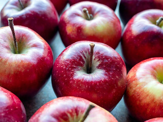 Red apples, close-up