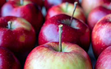 Red apples, close-up