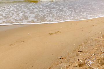 Footprints on the wet sand of the beach.