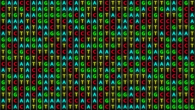 Loopable: DNA genetic matching and analysis abstract background with color-coded DNA components A, T, G, C. Genomic data processing concept.