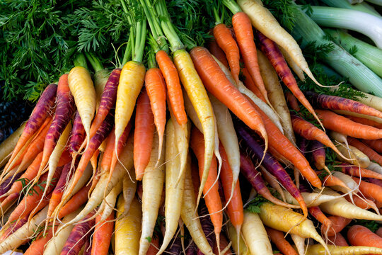 Carrots for Sale at Local Farmers Market