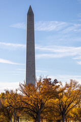 Fototapeta premium Autumn colors in oak trees in a park in Washington DC, USA. No visible people. The monument obelisk visible in background