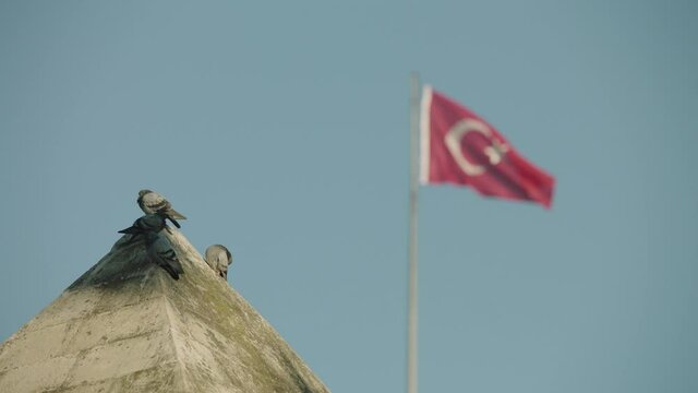 pigeons and waving turkish flag