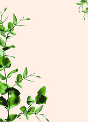Fototapeta premium Herbal minimalistic vector frame. Greenery wedding invitation. 