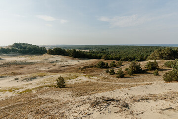 Panoramic view of the golden sand dunes of the Curonian Spit. The coastline of the Baltic Sea,...