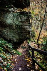 Müllerthal oder Müllerdall in Luxemburg in Herbst