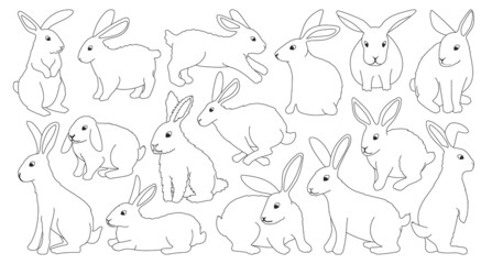 Rabbit vector cartoon icon set . Collection vector illustration bunny on white background. Isolated cartoon icon set fluffy rabbit for web design.