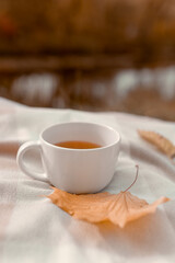 White cup with tea with yellow maple leaf in nature