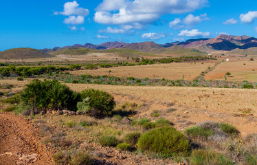 Nature in desert