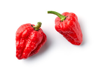 hot red ghost peppers