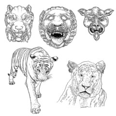 Set of live tigers roaring and growling. Drawing of live and made of stone body and muzzles. Animals of Asia, Chinese lunar New Year symbol and zodiac. Vector.