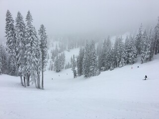 Powder Snow Day Tahoe