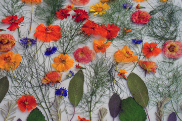 Colorful pressed dried edible flowers for cake decoration