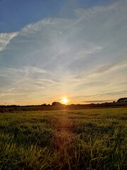 Obraz premium sunset on field