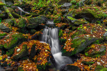 Sumny and Bily creek in autumn morning in Jeseniky mountains