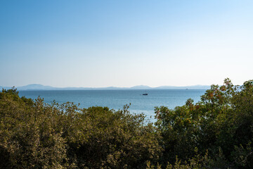 View from a hill with trees of the sea in summer