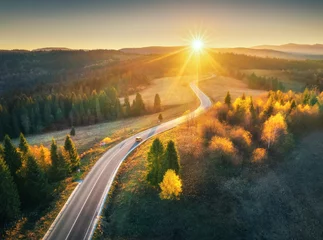 Fotobehang Luchtfoto van bergweg in bos bij zonsondergang in de herfst. Bovenaanzicht van drone van weg in bossen. Prachtig landschap met rijbaan in heuvels, pijnbomen, groene weiden, gouden zonlicht in de herfst. Reis © den-belitsky