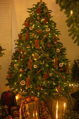 Christmas decorated tree with lights