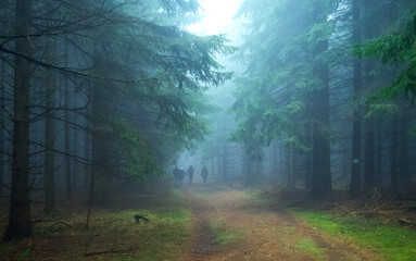 walk in a fog