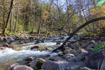 Autumn morning on a mountain river, a shallow riverbed with clear water and the rays of the sun illuminating the rocky bottom.