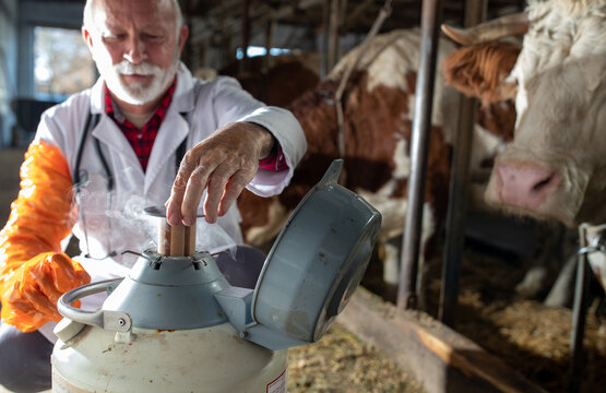 Veterinarian holding semen for cows artificial insemination