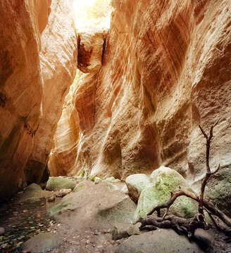 Avakas canyon on the summer day