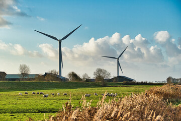 Two large wind turbines in an agricultural environment. Farm buildings, a meadow with sheep and dry...