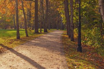 Sandy dirt road in the park in autumn