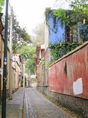 street in Coyoacan, Mexico city