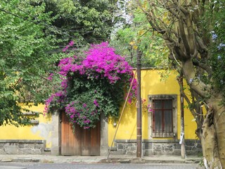 colorful house in Coyoacan, Mexico city